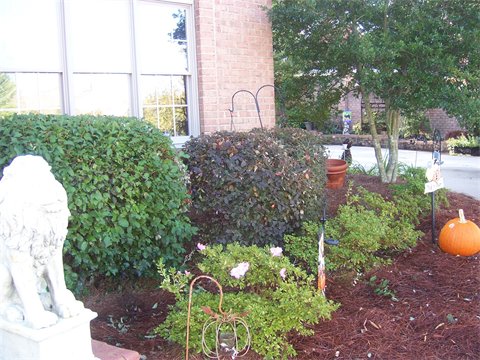 gardener-trimming-garden-plants-laurens-sc