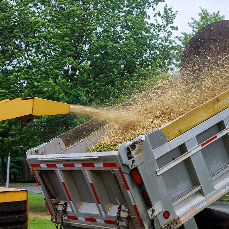 landscaping-branch-laurens-sc